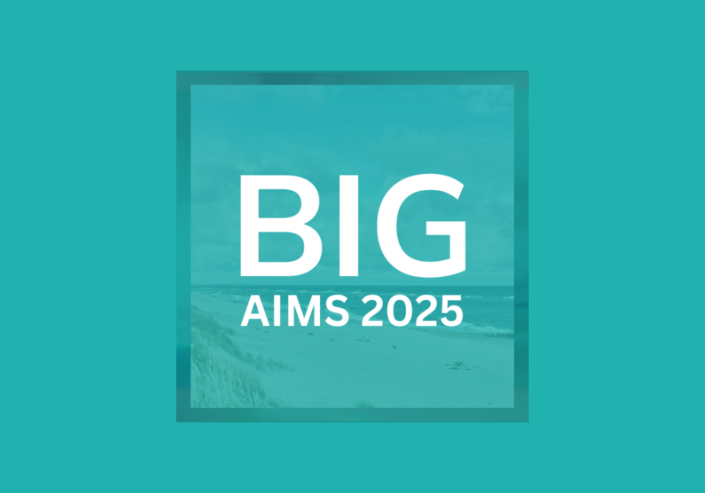 Big Aims 2025